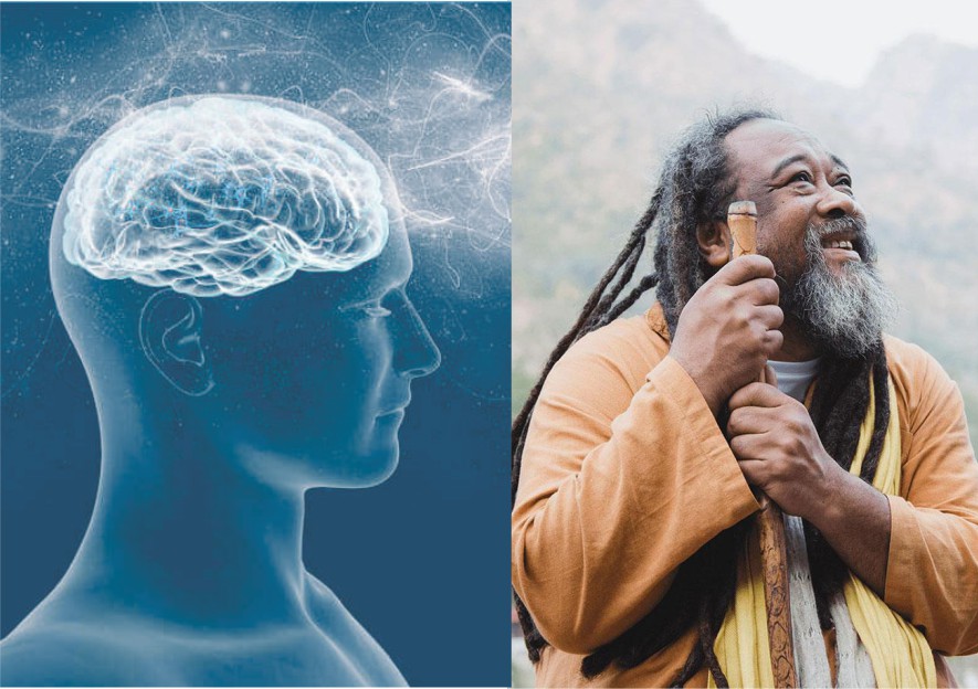 Lire la suite à propos de l’article Comment ralentir les pensées, l’enracinement