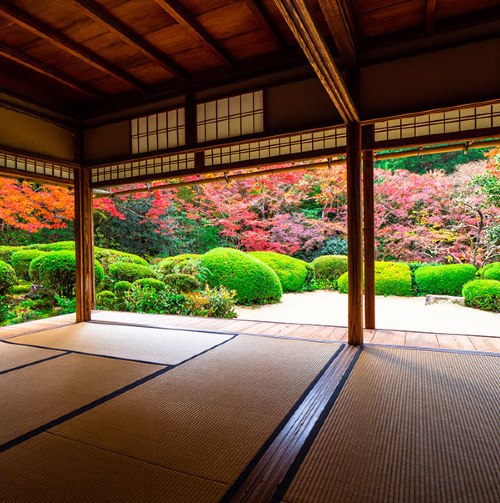 Lire la suite à propos de l’article L’art de la simplicité