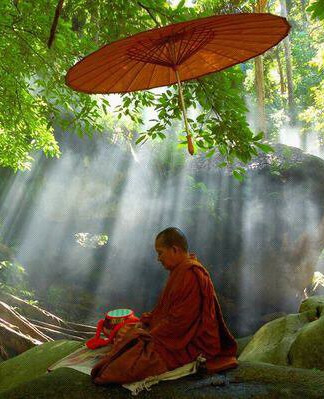 Lire la suite à propos de l’article Règles de Vie des Arts Martiaux