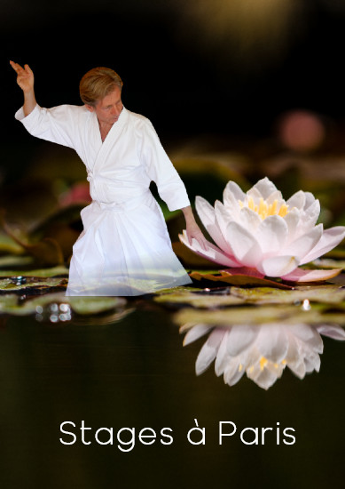 stage qi gong paris